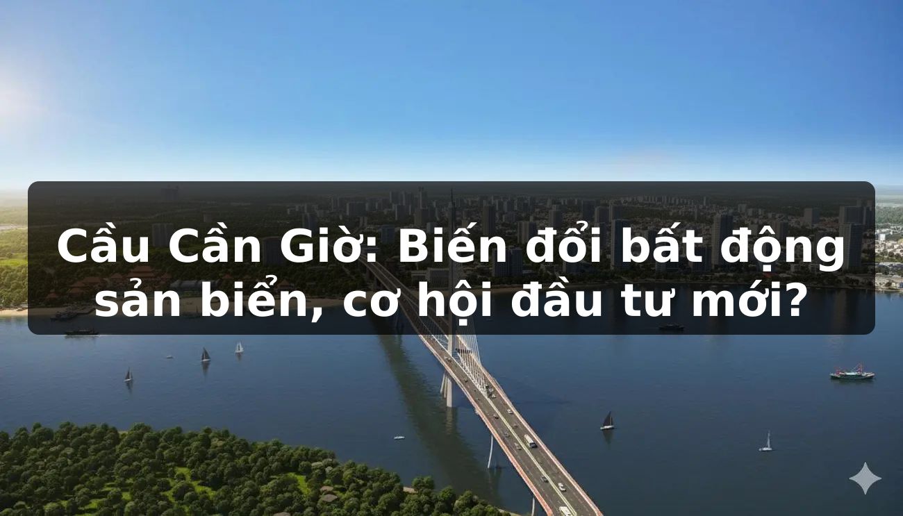 Cầu Cần Giờ: Biến đổi bất động sản biển, cơ hội đầu tư mới?