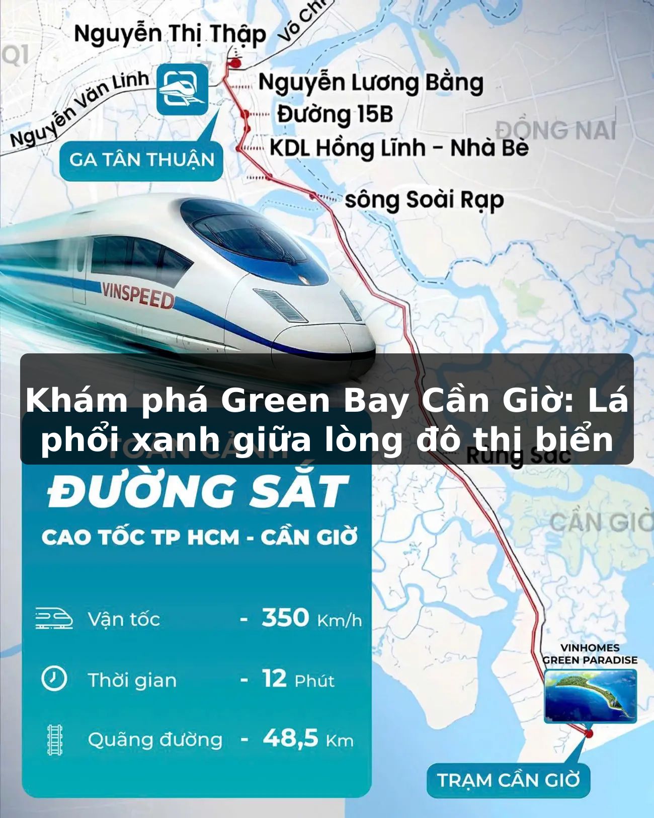 Khám phá Green Bay Cần Giờ: Lá phổi xanh giữa lòng đô thị biển