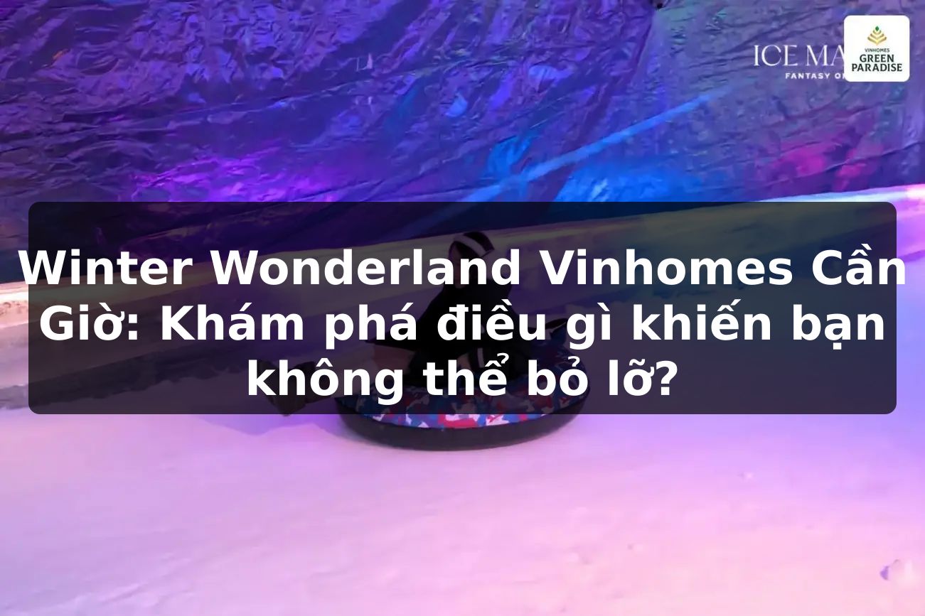 Winter Wonderland Vinhomes Cần Giờ: Khám phá điều gì khiến bạn không thể bỏ lỡ?