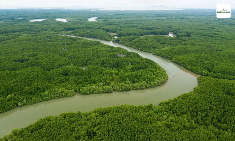 image-can-gio-tiem-nang-tro-thanh-vung-loi-bds-ve-tinh-tp-hcm-30