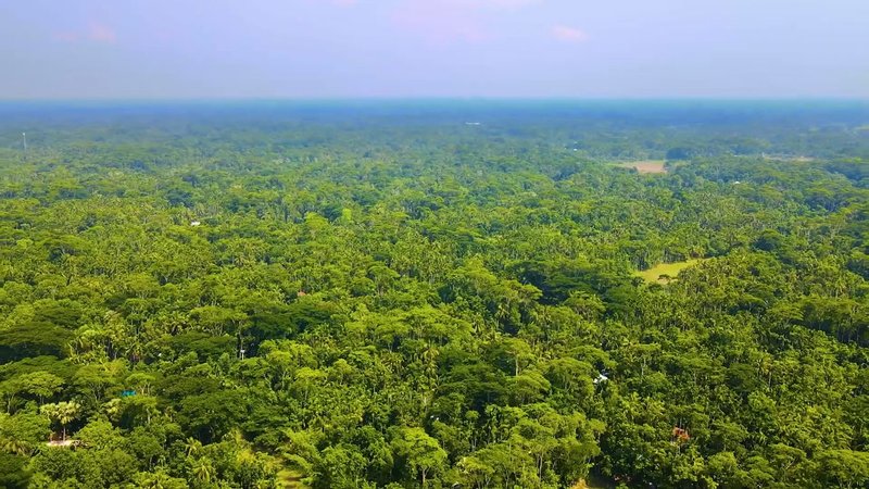 image-vinhomes-can-gio-thu-hut-nha-dau-tu-bi-mat-dang-sau-suc-hut-khung-du-chua-xay-nhieu-10